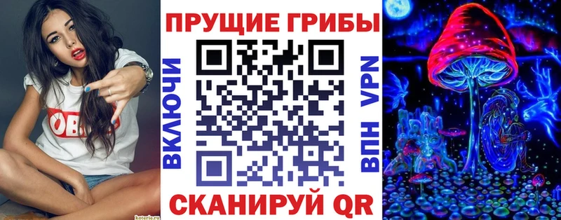 mega сайт  shop Telegram  Псилоцибиновые грибы GOLDEN TEACHER  Сурск 